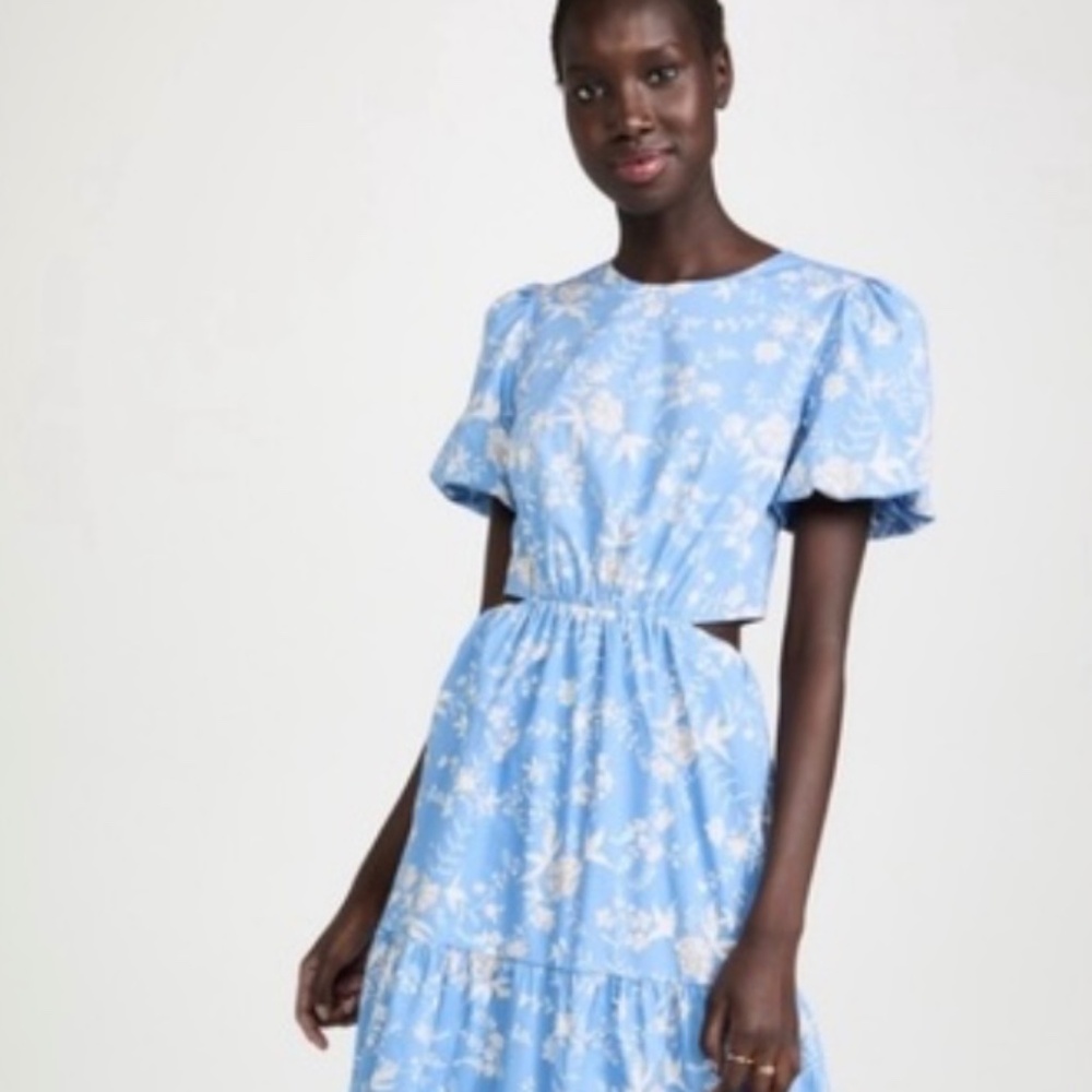 WAYF blue floral dress